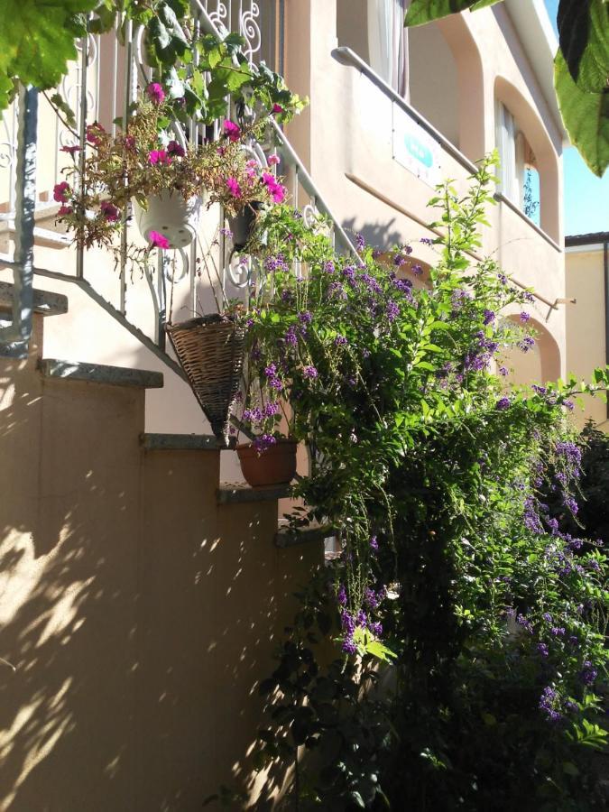 פוסאדה B&B Sos Manneddos מראה חיצוני תמונה