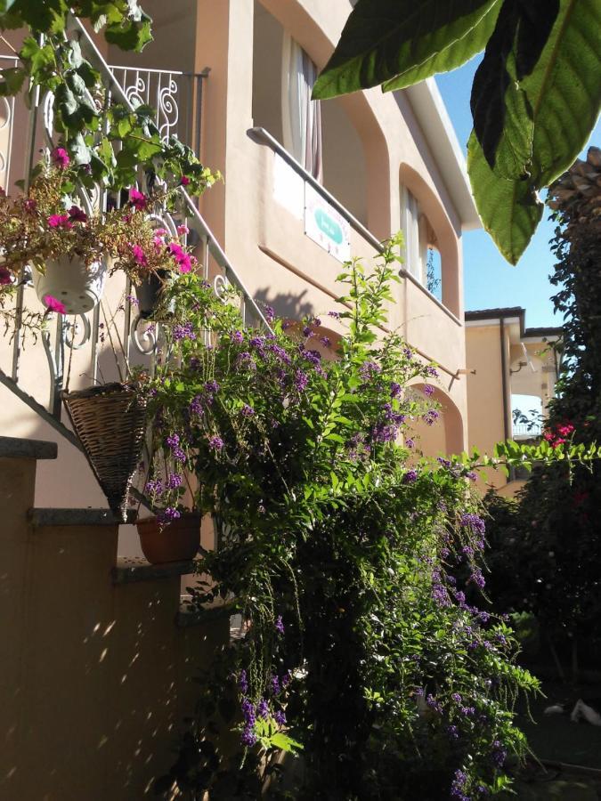 פוסאדה B&B Sos Manneddos מראה חיצוני תמונה