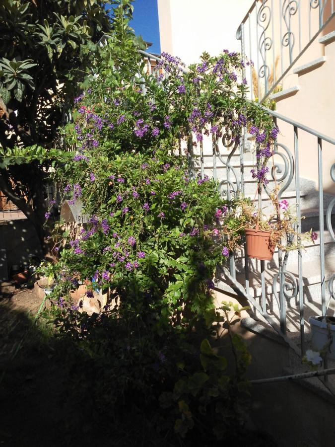 פוסאדה B&B Sos Manneddos מראה חיצוני תמונה